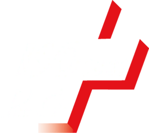 Logo ISO 9001 en blanc